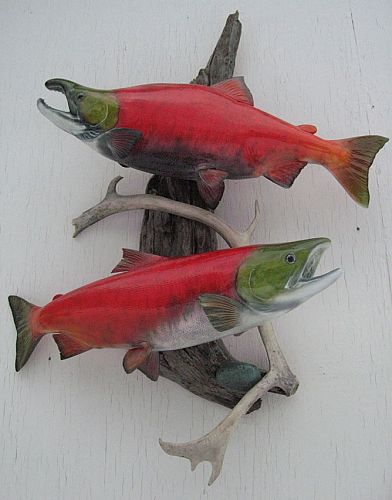 Red Salmon Fish Mount