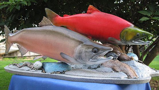 Sockeye Salmon Fish Mounts