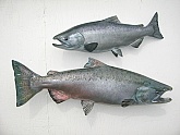 King Salmon Mounts: Quality Fish Replicas & Reproductions