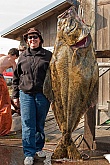Big Halibut: Big Halibut: Saltwater Fish Taxidermy
