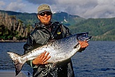 Saltwater King Salmon: Saltwater King Salmon - Best King Salmon Mounts - Fish Taxidermy