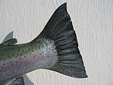 Steelhead Fish Reproductions: Steelhead Fish Reproductions - Quality Fiberglass Fish Reproductions